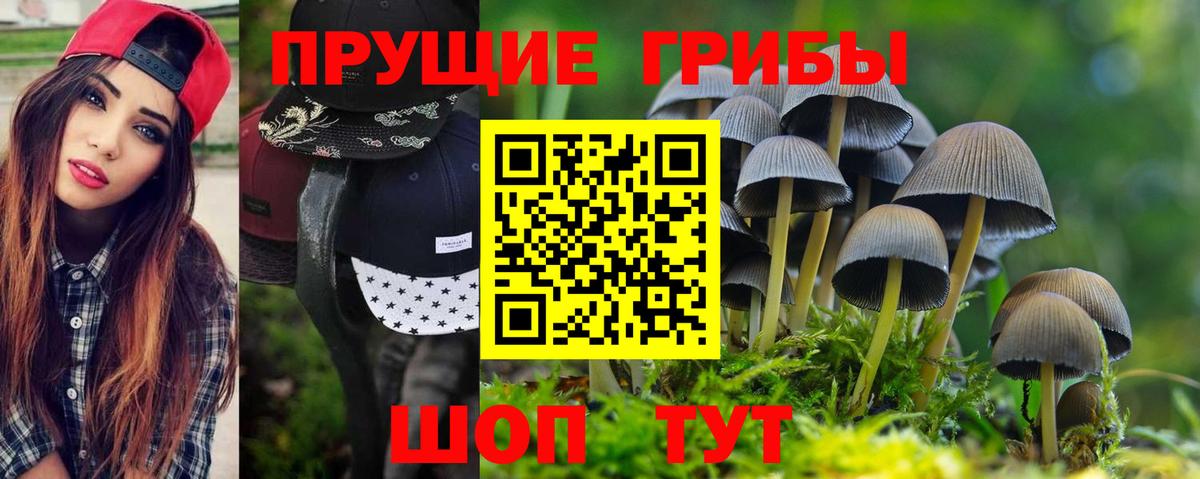 Псилоцибиновые грибы ЛСД  где продают   Советский  Вход с VPN 