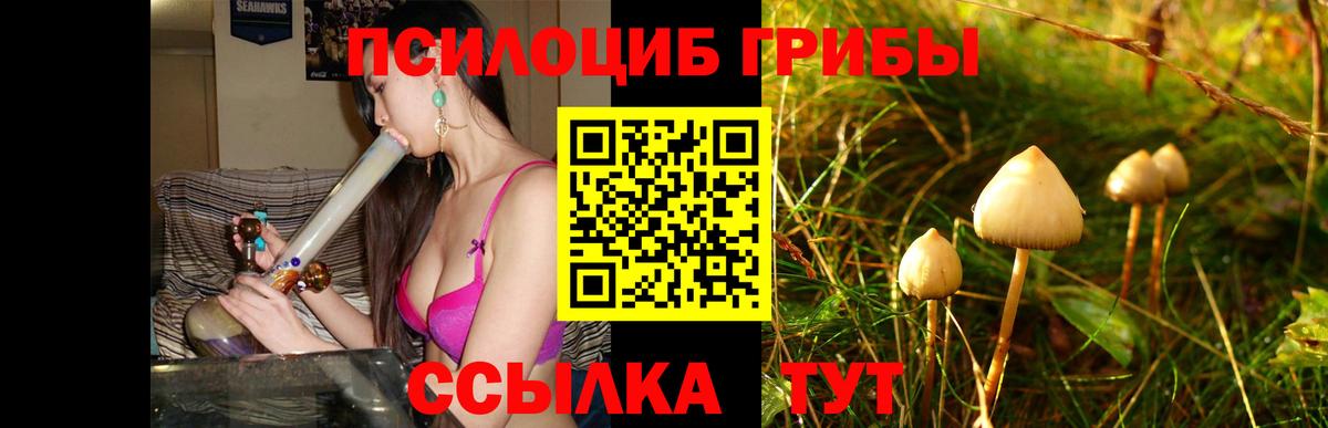 Псилоцибиновые грибы мухоморы Советский